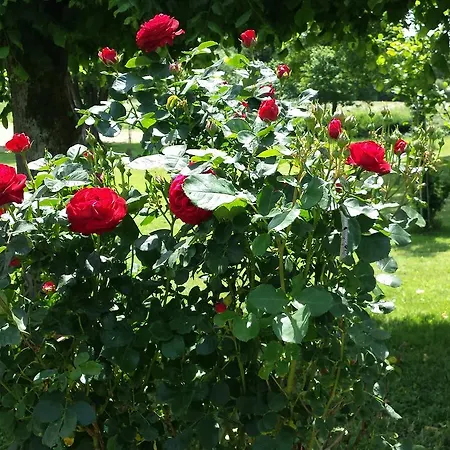 Le Clos Du Val B&B Quibou