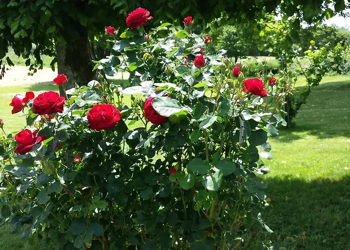 Le Clos Du Val Bed & Breakfast Quibou